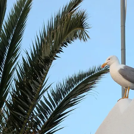 아파트 Gaivota Nest - Golden Ocean View *